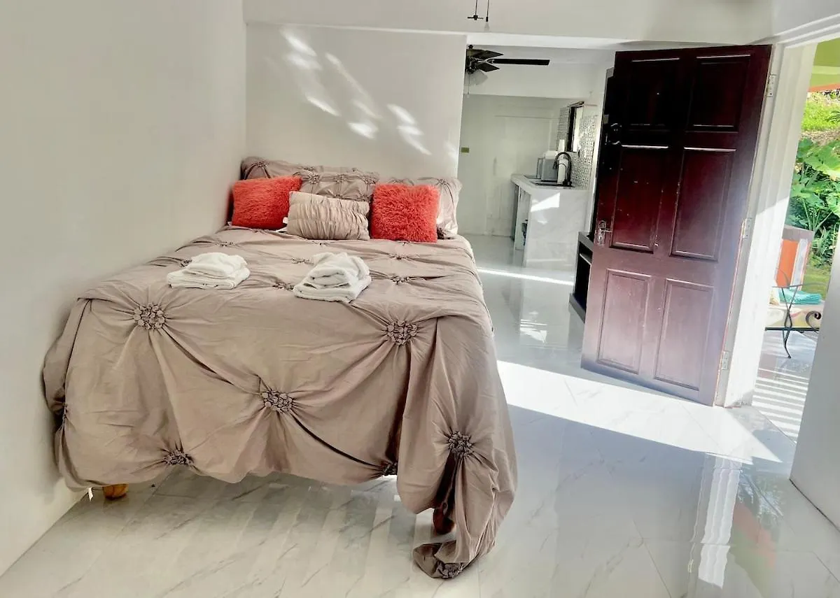 Apartment Port Antonio Private, Peaceful, Cozy Studio Suite